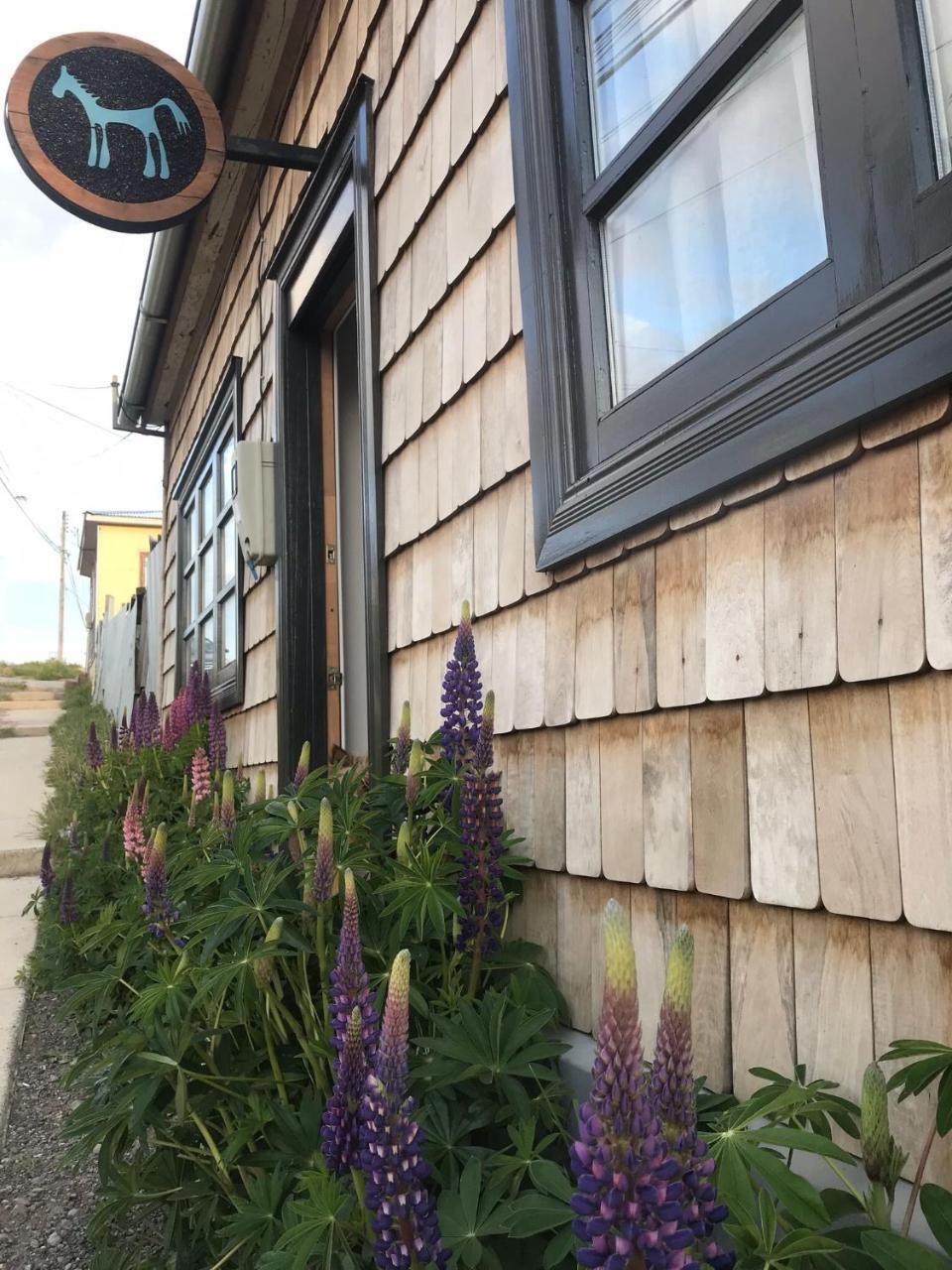 El Establo Hotell Puerto Natales Eksteriør bilde